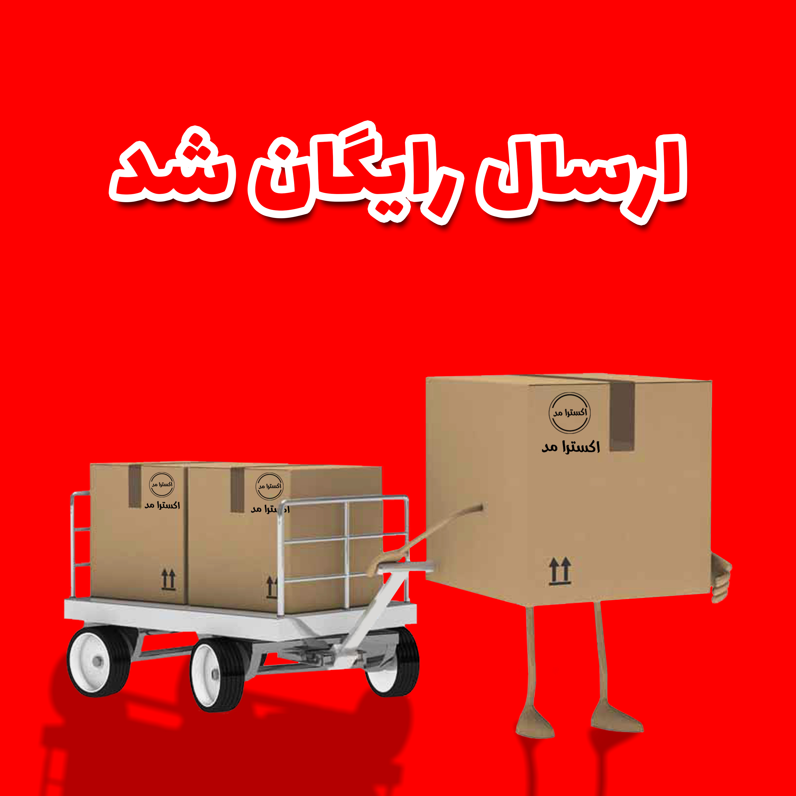 ارسال رایگان